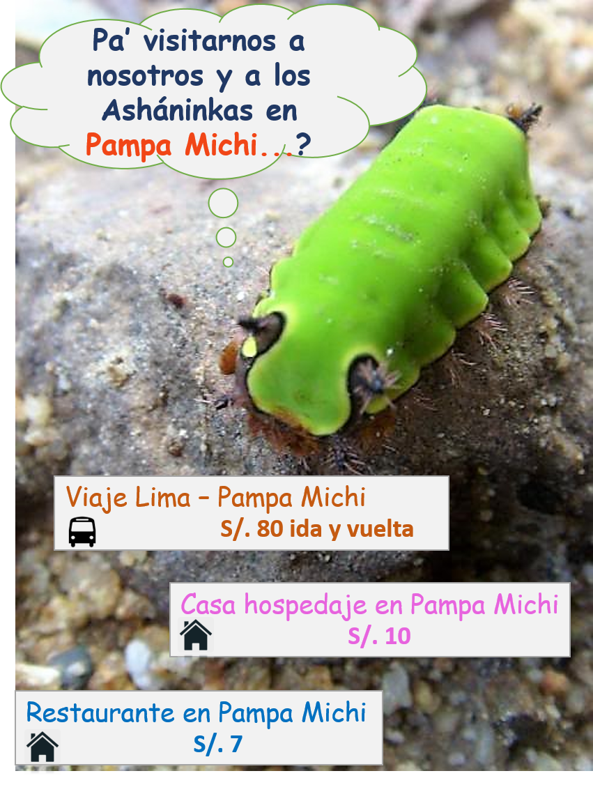 Imagen1