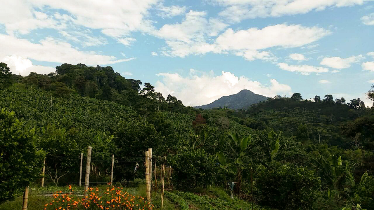 Quindío