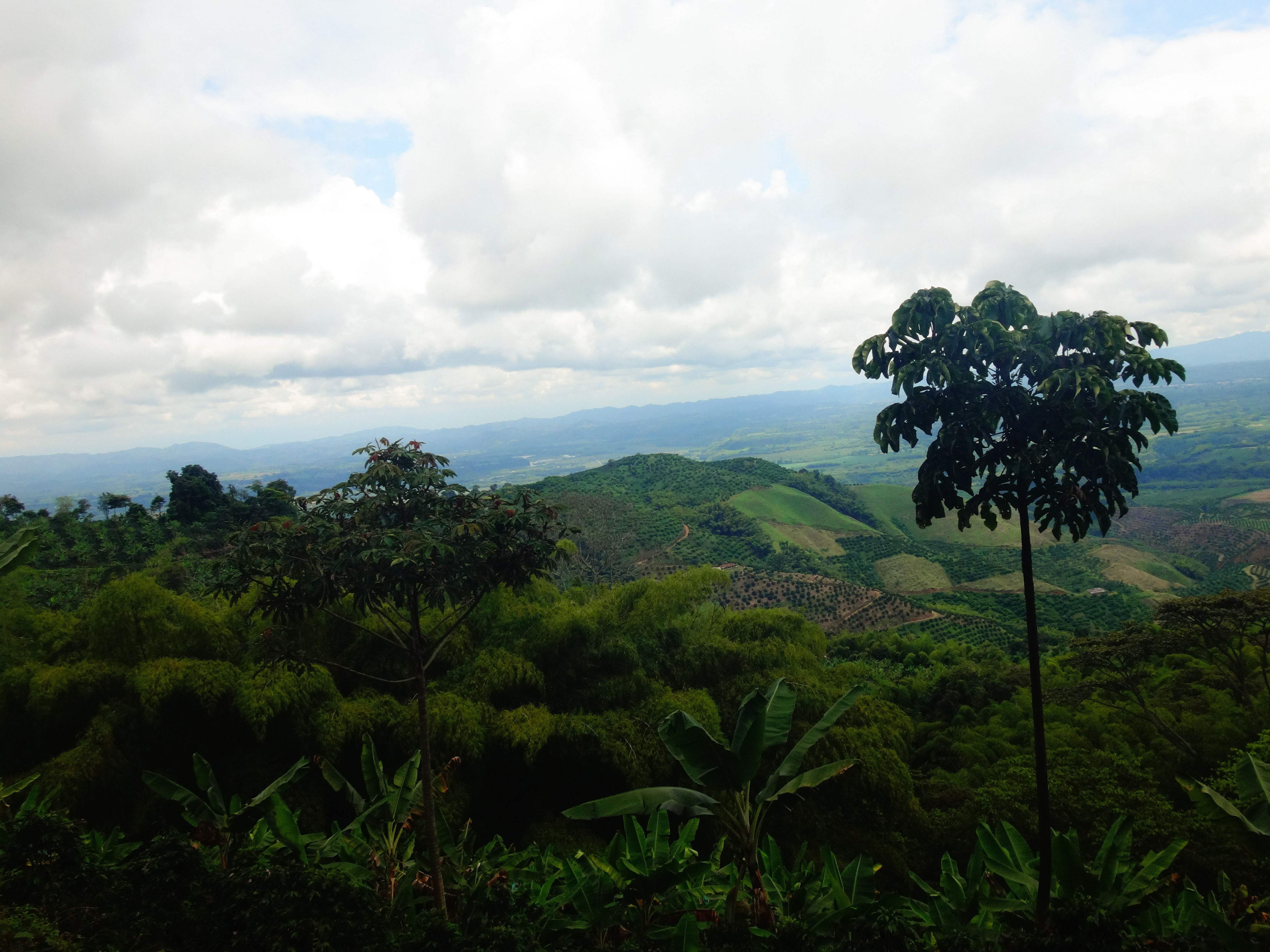 Quindío